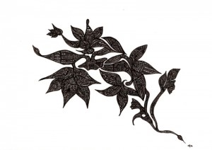 Blume2